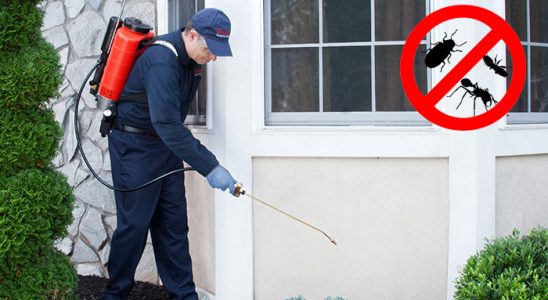 Kale Karınca İlaçlama böcek ilaçlama ve haşere kontrolü — ilaclama-tr.com